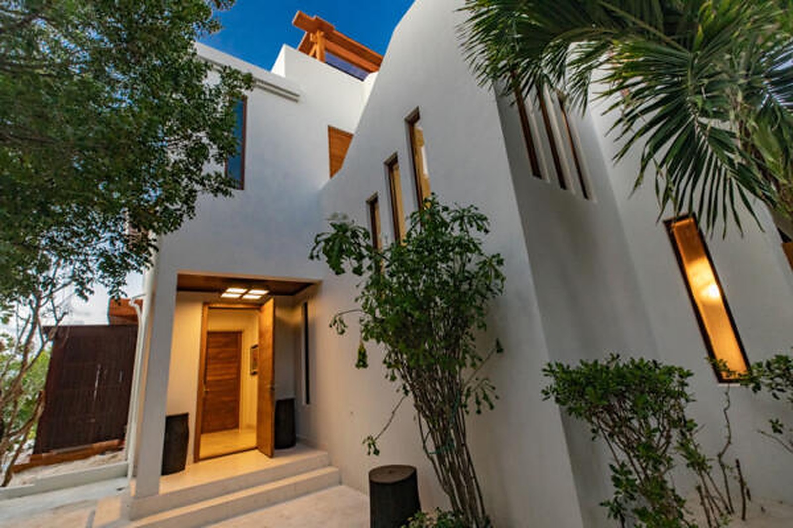 Coconut Home - Image 3